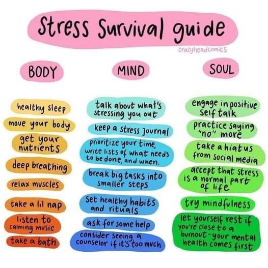 Stress Survival Guide Photo